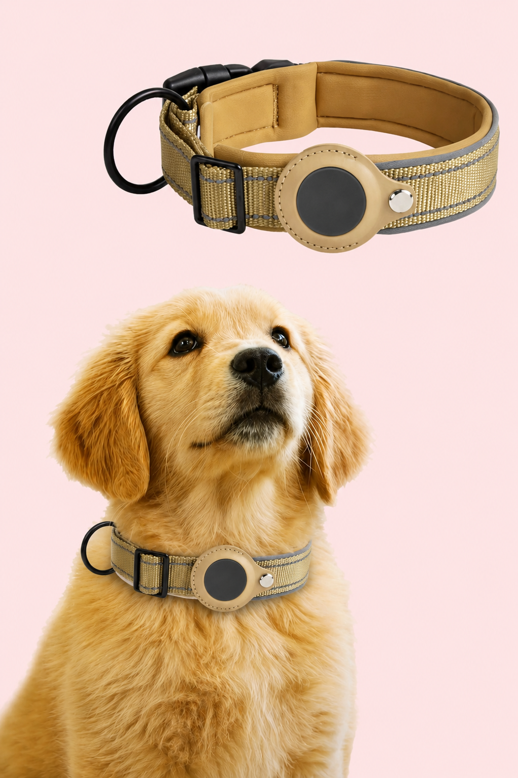 Reflective Dog Collar Compatible with AirTag
