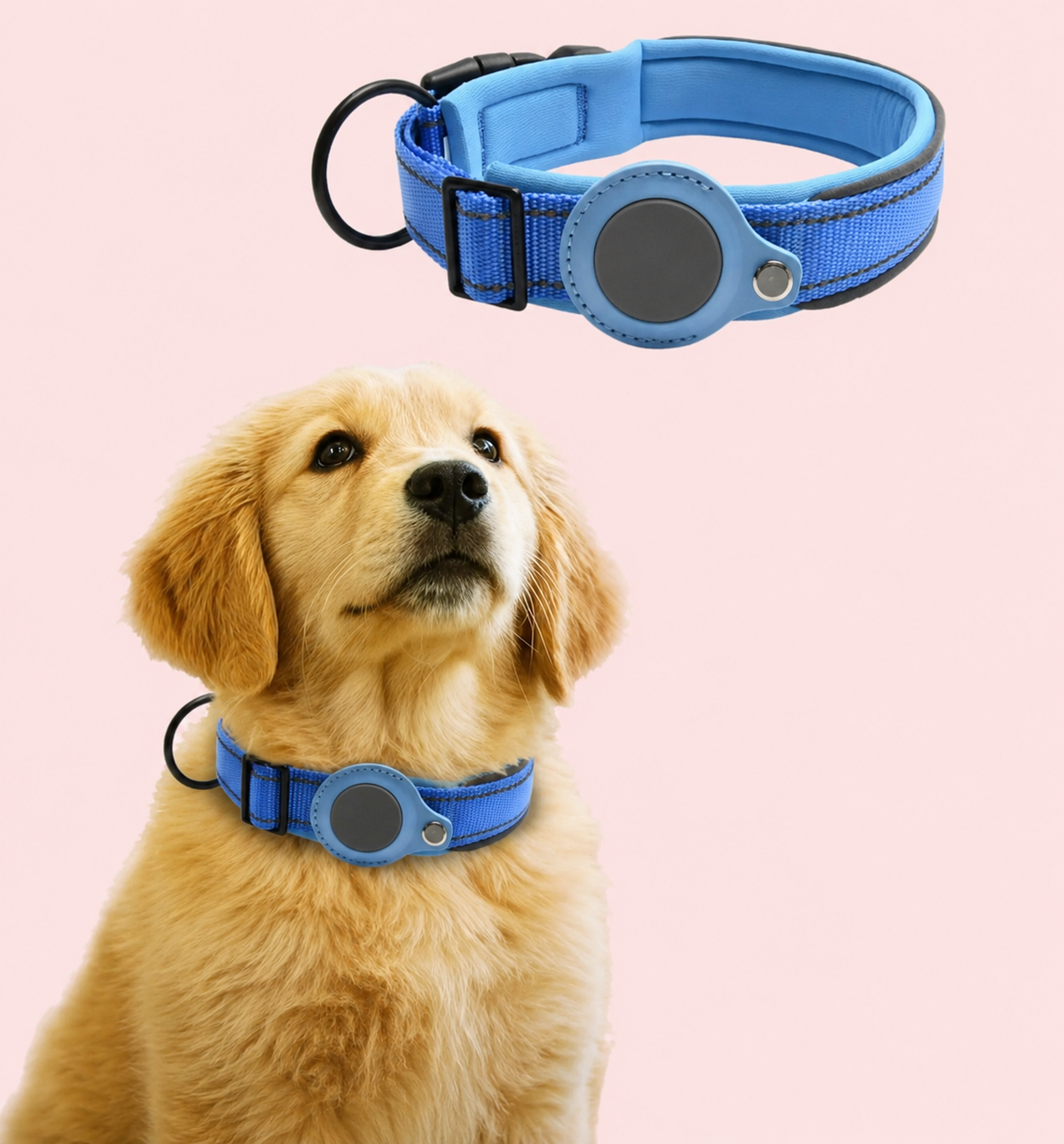 Reflective Dog Collar Compatible with AirTag